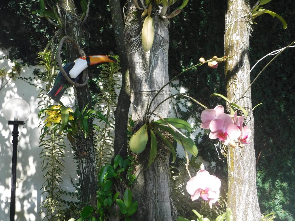 Nature Paradise Boutique Hotel Rio de Janeiro Exterior photo
