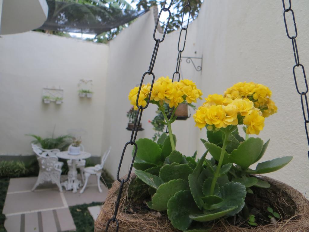 Nature Paradise Boutique Hotel Rio de Janeiro Exterior photo